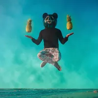 Night Panda