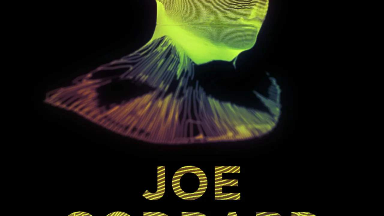 Joe Goddard + Guest