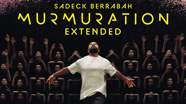 Murmuration Extended