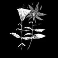 Las Flores del Underground