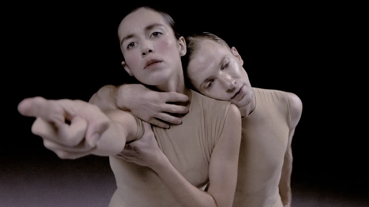 "Delay the Sadness" de S-E-D / Sharon Eyal