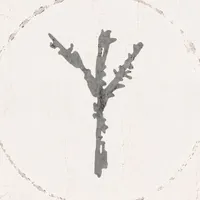 Árbol