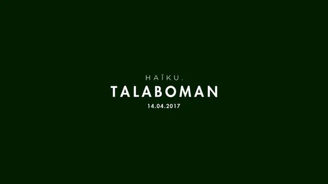 H A ï K U avec Talaboman (John Talabot x Axel Boman)