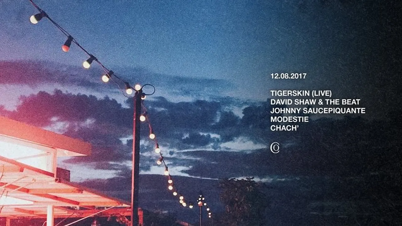 Tigerskin (live) + David Shaw and the Beat