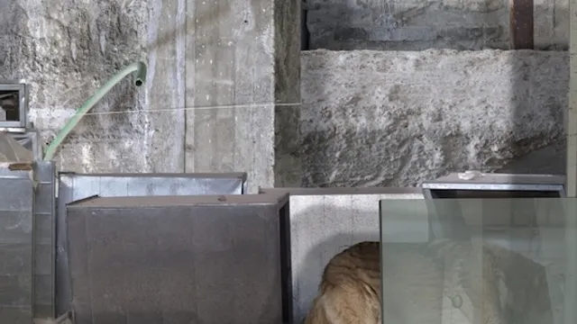 Exposition Prix Pictet "Disorder"
