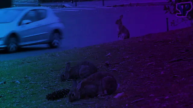 [PROJECTION + RENCONTRE] Les lapins du rond-point de la Porte Maillot