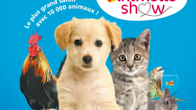 Animal expo & Animalis show