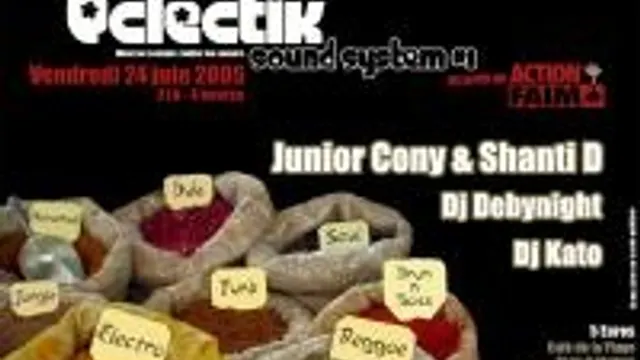 Eclectik Sound System