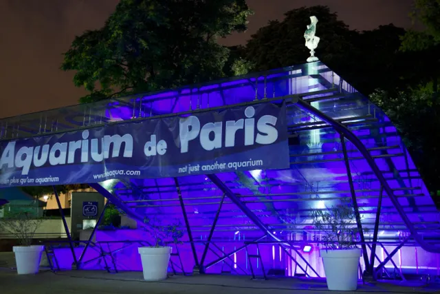 L'Aquarium Club