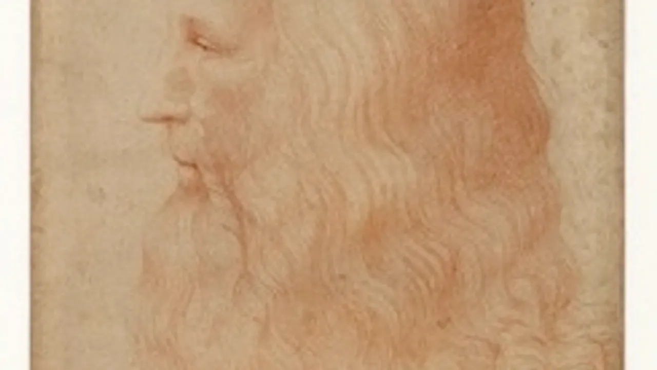 Exposition Léonard de Vinci, Il Genio