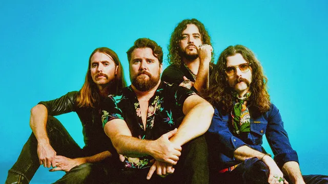 The Sheepdogs