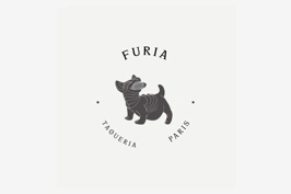 Furia