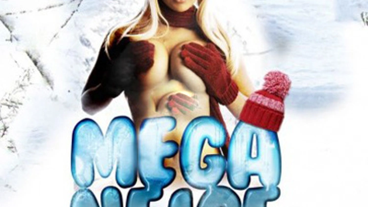 Mega Neige Party