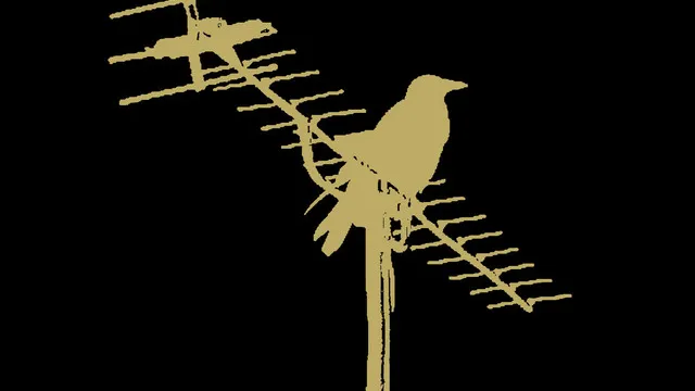 Toy + BirdPen