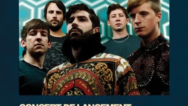 Foals