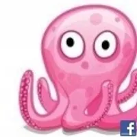 Octo P