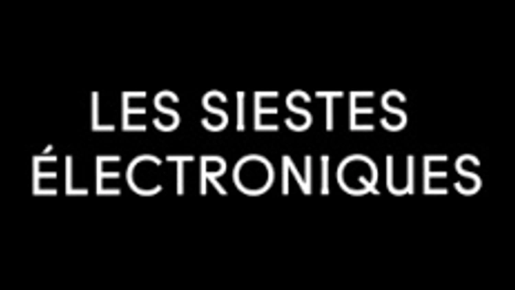 Les Siestes Électroniques 2014