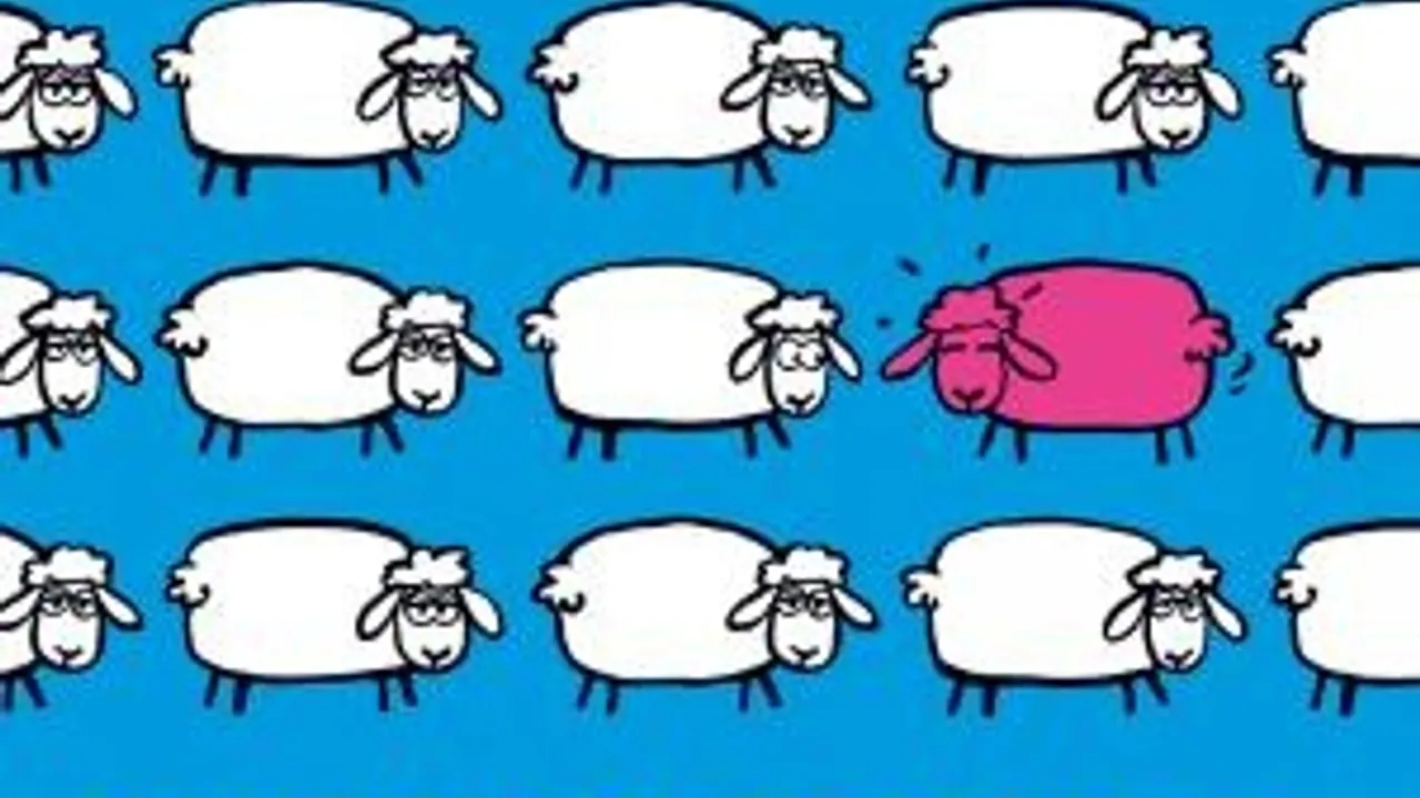 La Société des loisirs