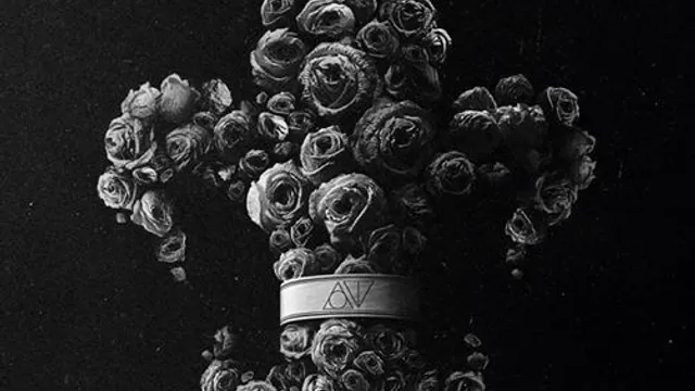 Our Theory + Hot School + Houston + Lie To Meet You