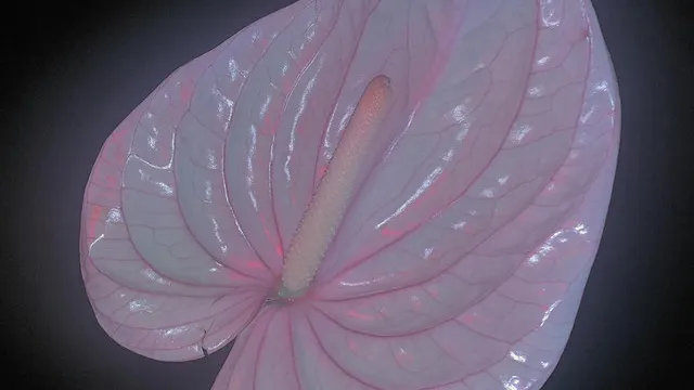 Psychic Liberation Night: Flora Yin Wong