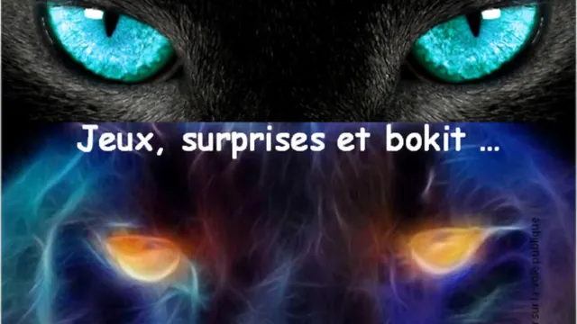 Afterwork + 30 ans - Cat's eyes