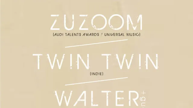 ZUZOOM, TWIN TWIN, WALTER MECCA + GUESTS
