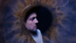 The Veils