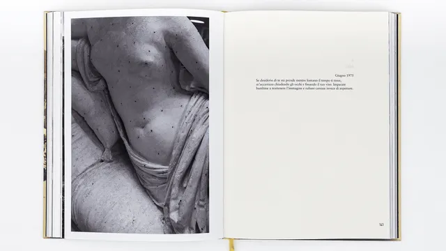 Table ronde : Voir et les mots – dialogue entre photographie et écriture