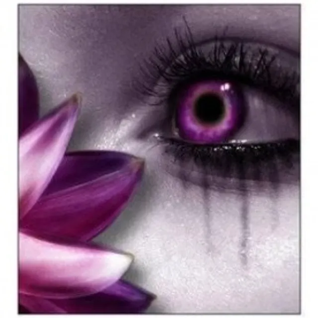 Pulpy L