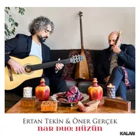 Ertan Tekin