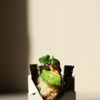 Nobisan