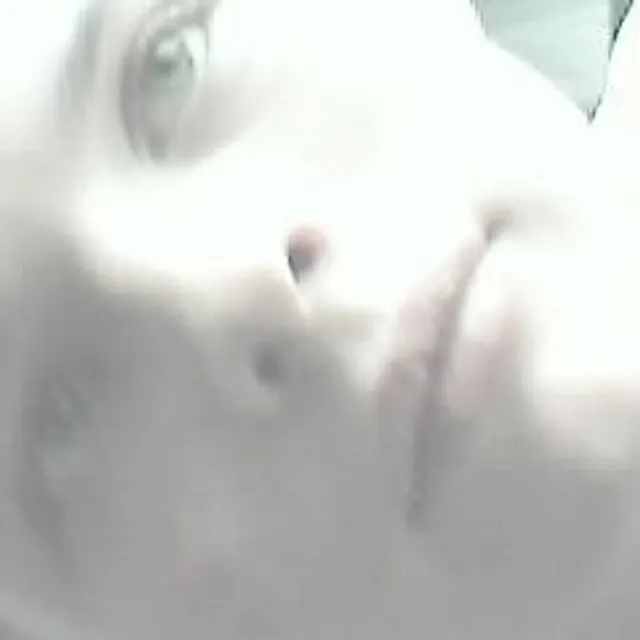 Arthur L