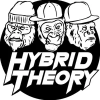 Hybrid Theory