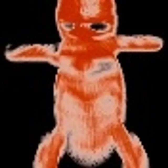 Jo N