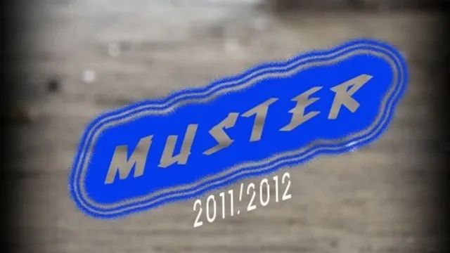 Muster #9