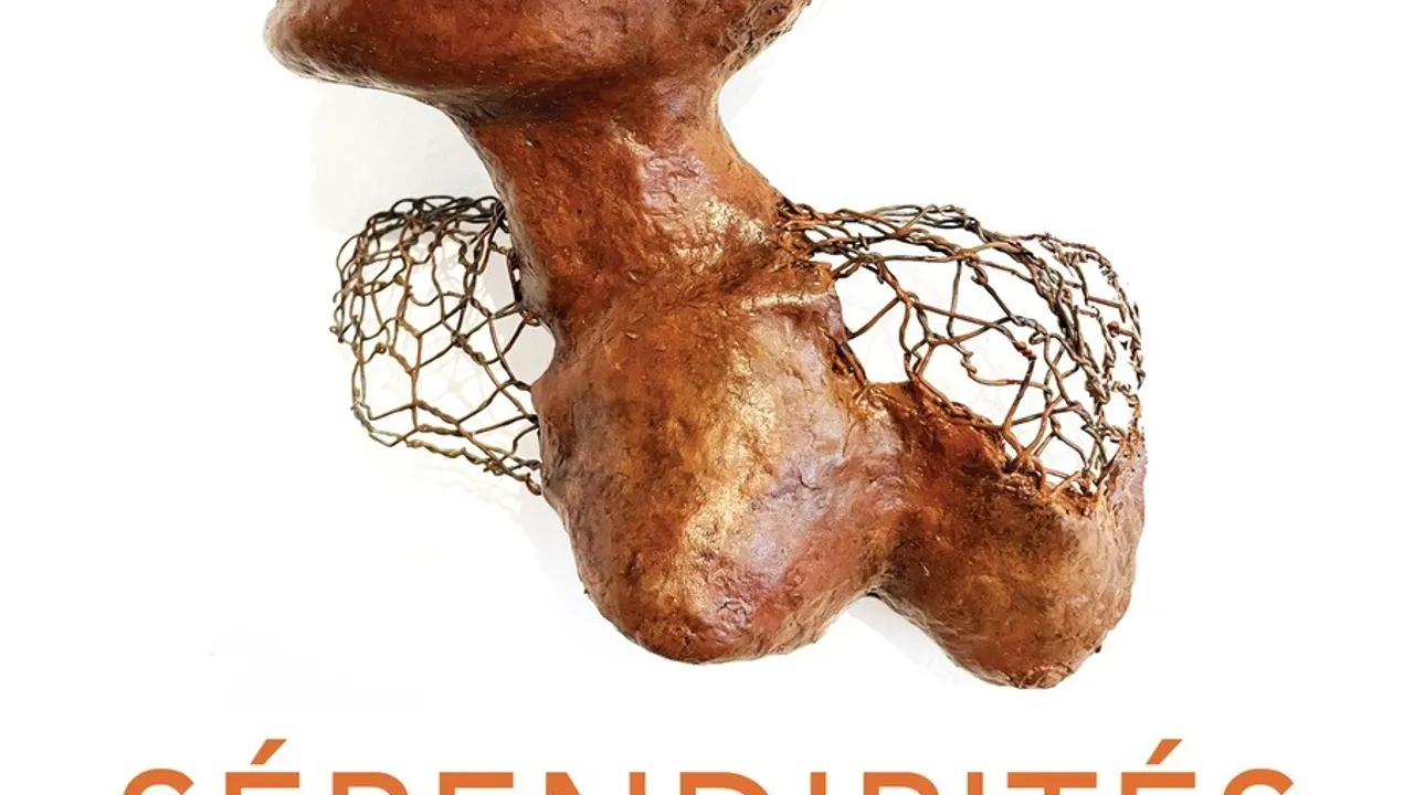 SÉRENDIPITÉS