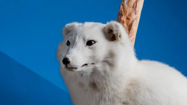 LA PEUR ET LE PAIN