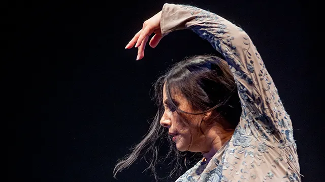 Eva Yerbabuena - Cuentos de Azúcar