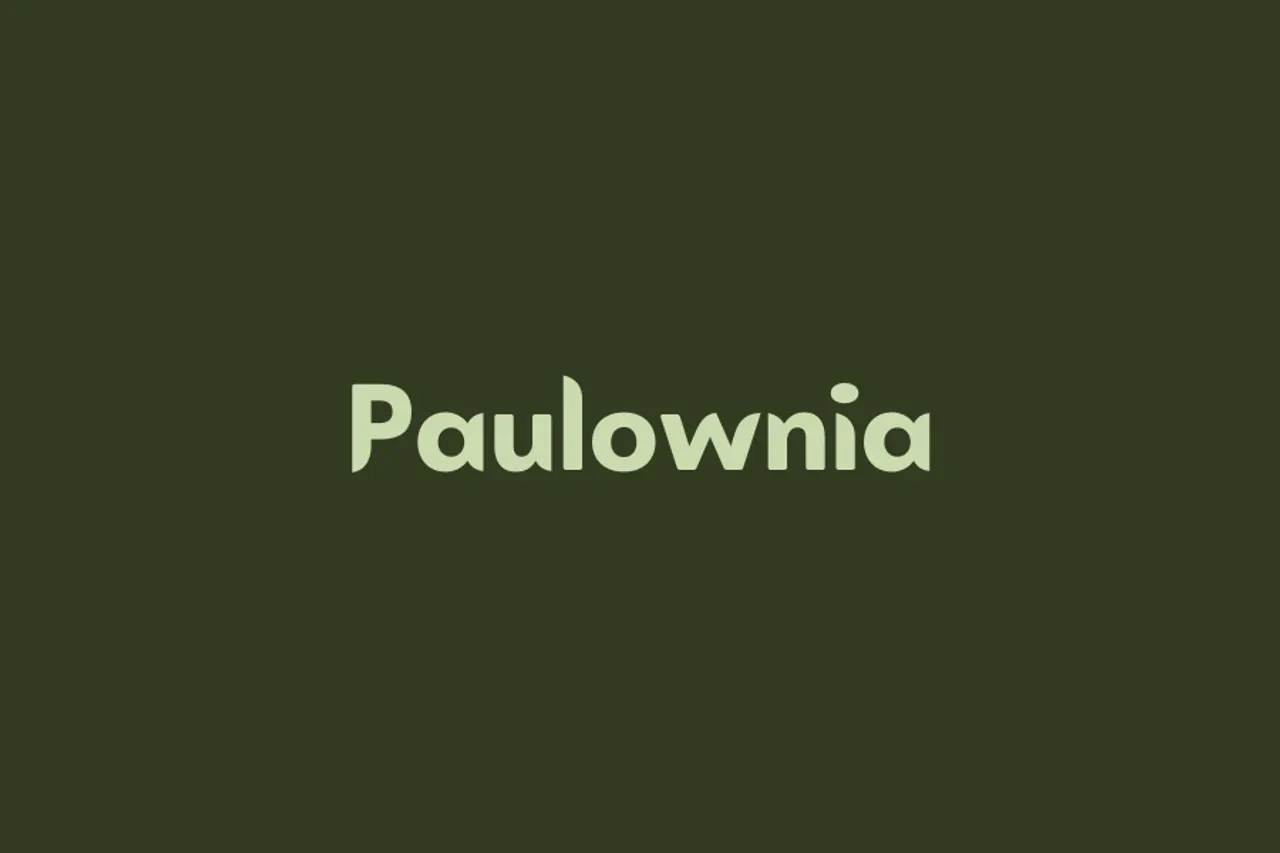 Paulownia