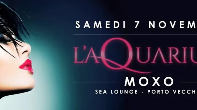 L'aQuarium avec MOXO (Sea-Lounge Porto-Vecchio)