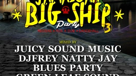 Jamaican big ship party #3