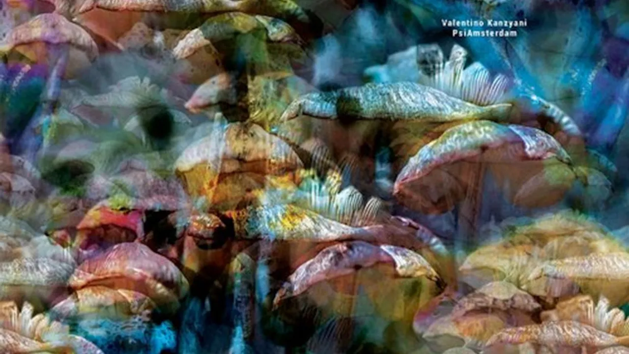 Rendez-vous : Valentino Kanzyani