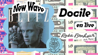 Mes Années New Wave - Docile