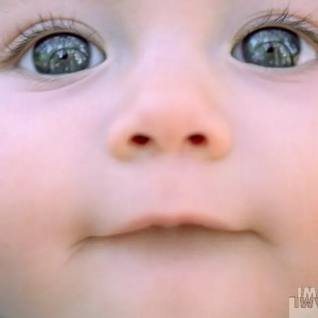 Yazid B