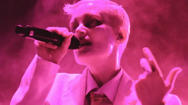 FEVER RAY