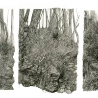 PÉTRICHOR, le Solo Show de l'illustratrice Lucille Clerc