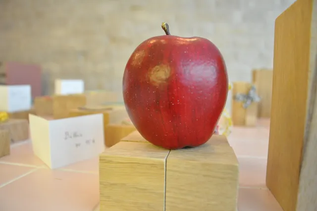 Akane : une peau de fruit défendu