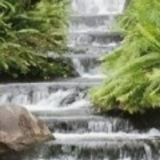 Elleena E