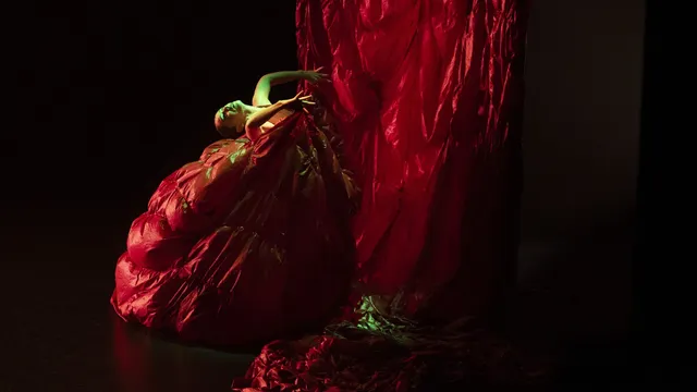 "Après vous madame + Concert" de Paula Comitre / José del Tomate