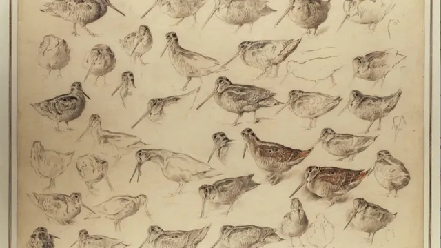Xavier de Poret - Dessins du XXème
